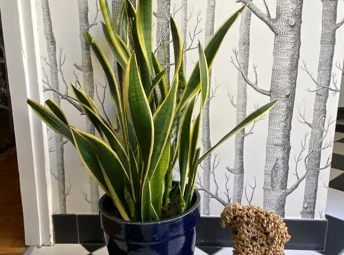 Bed & Breakfast La Desvaux De Marigny 3*