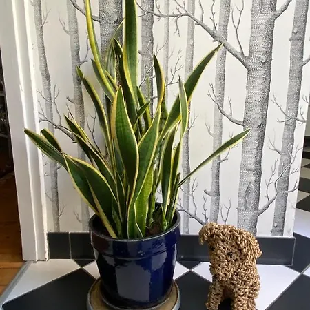 فندق مبيت وإفطار La Desvaux De Marigny 3*